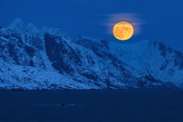 Moon rising over the fjord near the village of Hamnoy in winter, Moskenes, Nordland county, lofoten islands, norway, europe