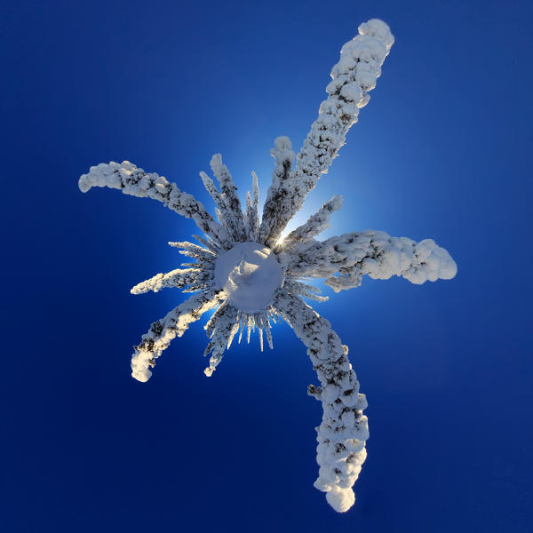 Little planet projection of a panoramic photo of a lapland woods immersed in snow near kuusamo, lapland, finland, europe 
