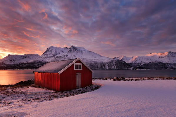Typical norvegian fishing cottage ad dawn on a fjord near Tromso, Troms, Norway, Europe