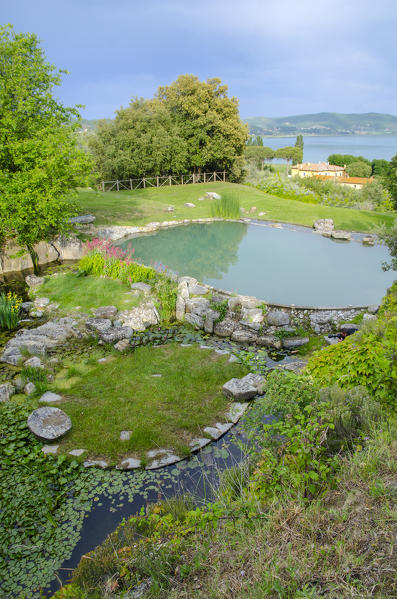 The garden of water plants on the Polvese island, Trasimeno lake, Umbria
