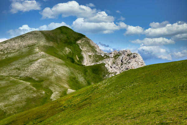 Italy, Marche, Sibillini mountain range,  Mount Bove in Summer