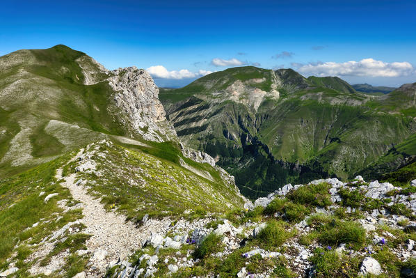 Italy, Marche, Sibillini mountain range,  Mount Bove in Summer
