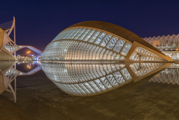 Spain, Valencia, City of Art And Science (Calatrava)