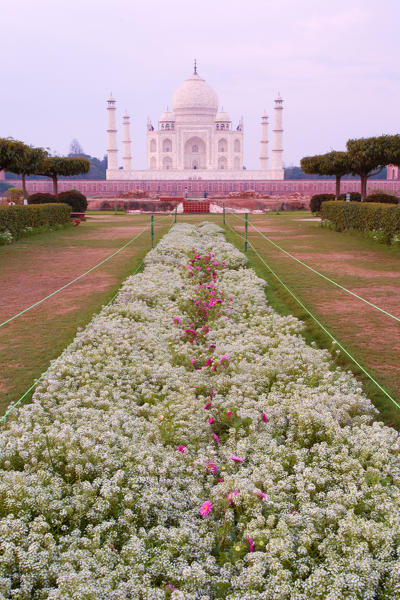 Asia, India, Agra
The Taj Mahal. 