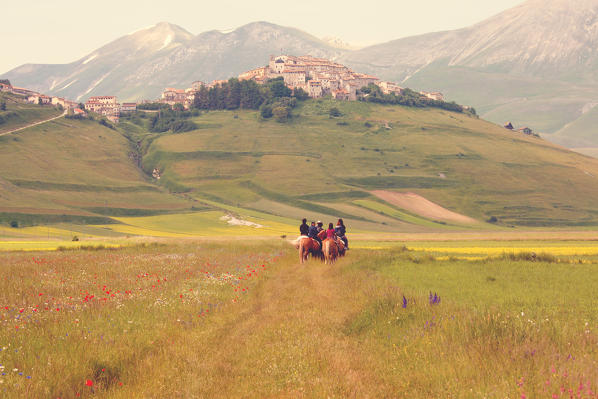 Europe, Italy, Umbria, Perugia district, Castelluccio of Norcia
Boys on horseback walking during the blooming season