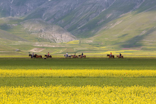 Europe, Italy, Umbria, Perugia district, Castelluccio of Norcia
Boys on horseback walking during the blooming season 