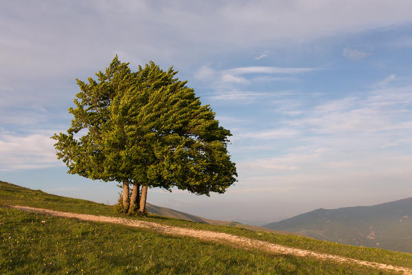 Europe,Italy, Umbria, Perugia district, Sibillini mountains, Castelluccio of Norcia village 