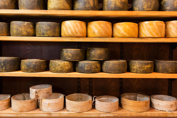 Europe,Italy, Umbria, Perugia district, Sibillini mountains, Castelluccio of Norcia, goat cheese