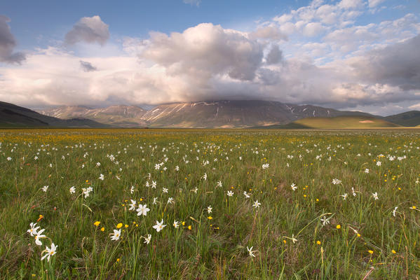 Europe,Italy, Umbria, Perugia district, Sibillini mountains, Castelluccio of Norcia village at sunset 