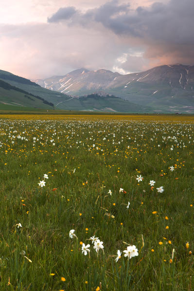 Europe,Italy, Umbria, Perugia district, Sibillini mountains, Castelluccio of Norcia village at sunset 
