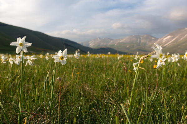 Europe,Italy, Umbria, Perugia district, Sibillini mountains, Castelluccio of Norcia village at sunset 