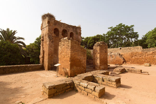 North Africa,Morocco,Capital Rabat. Archaeological site Chellah