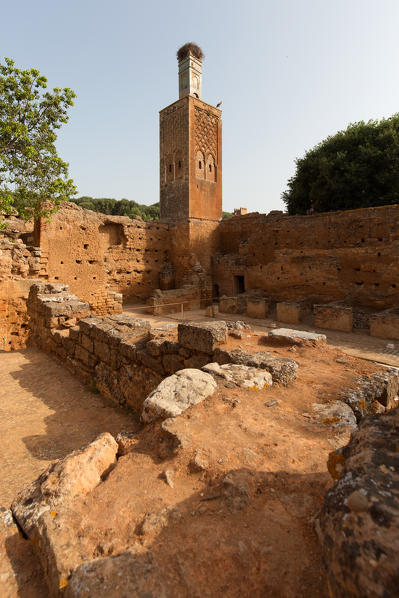 North Africa,Morocco,Capital Rabat. Archaeological site Chellah
