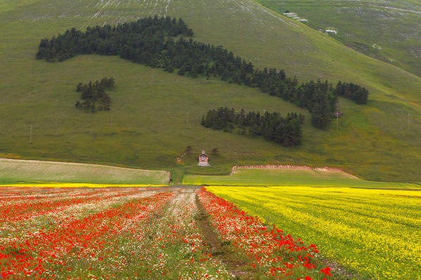 Europe,Italy,Umbria,Perugia district.Italy represented with trees