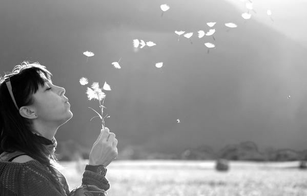 Europe,Italy,Umbria,Perugia district,Castelluccio of Norcia. Girl blowing flower