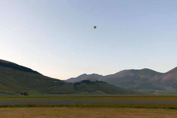 Europe, Italy,Umbria,Perugia district,Castelluccio of Norcia Flower period