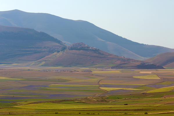 Europe, Italy,Umbria,Perugia district,Castelluccio of Norcia. Flower period.