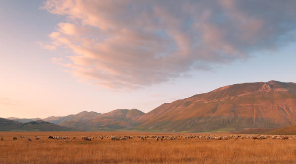 Europe,Italy,Umbria,Perugia district,Castelluccio of Norcia. Sibillini mountains at sunset