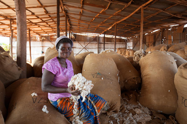 Africa,Malawi,Balaka district.
Cotton processing
