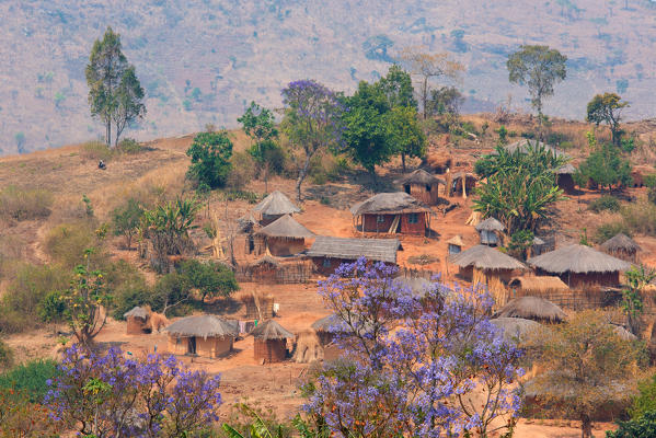 Africa,Malawi,Lilongwe district.
Typical village 