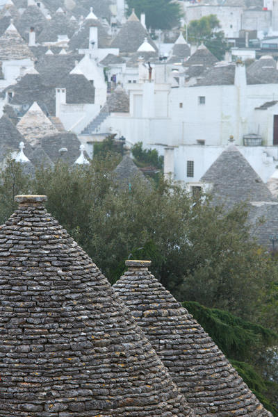 Europe,Italy,Puglia,Bari district.
Alberobello
