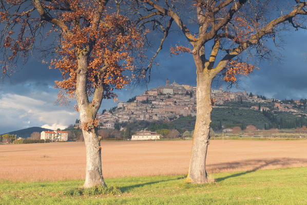 Europe,Italy,Umbria,Perugia district.
Trevi at sunset.