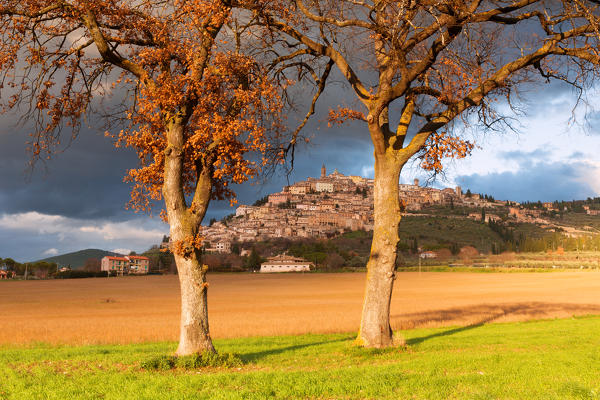 Europe,Italy,Umbria,Perugia district.
Trevi at sunset.