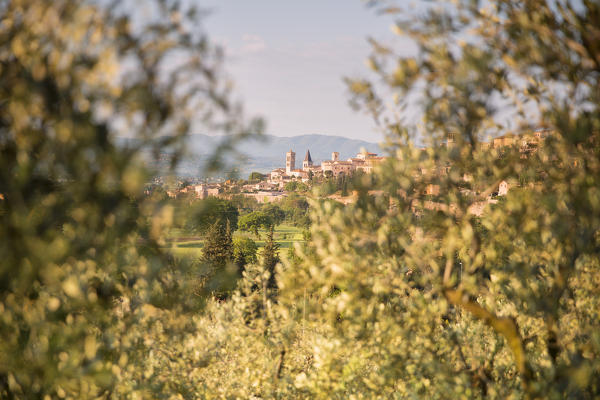 Europe, Italy, Umbria, Perugia district, Spello 
