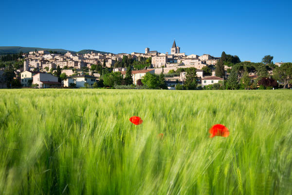 Europe, Italy, Umbria, Perugia district, Spello 