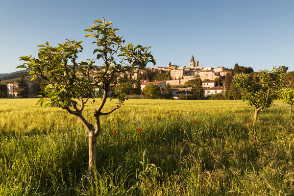 Europe, Italy, Umbria, Perugia district.
Spello at sunset 