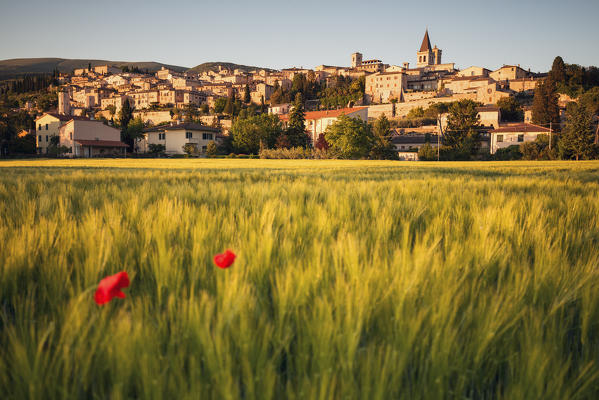 Europe, Italy, Umbria, Perugia district.
Spello at sunset 