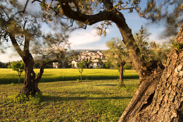 Europe, Italy, Umbria, Perugia district.
Spello at sunset 