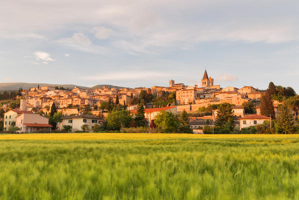 Europe, Italy, Umbria, Perugia district.
Spello at sunset 