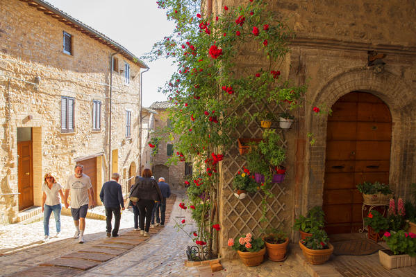 Europe, Italy, Umbria, Perugia district, Spello.
Glimpse of the city