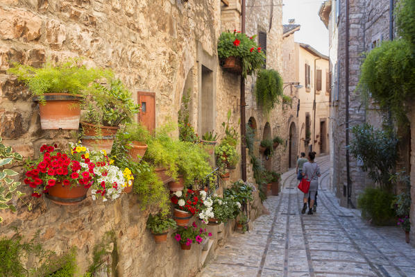Europe, Italy, Umbria, Perugia district, Spello.
Glimpse of the city