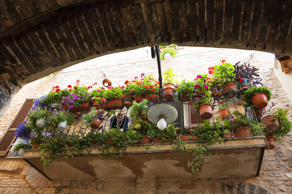 Europe, Italy, Umbria, Perugia district, Spello.
Glimpse of the city