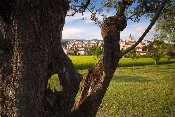 Europe, Italy, Umbria, Perugia district.
Spello at sunset 