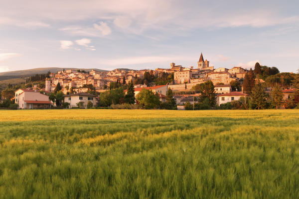 Europe, Italy, Umbria, Perugia district.
Spello at sunset 