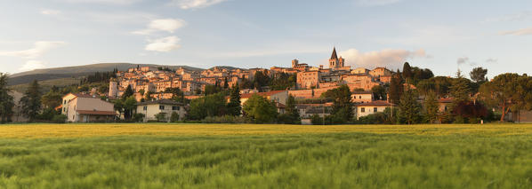 Europe,Italy,Umbria,Perugia district.
Spello at sunset 