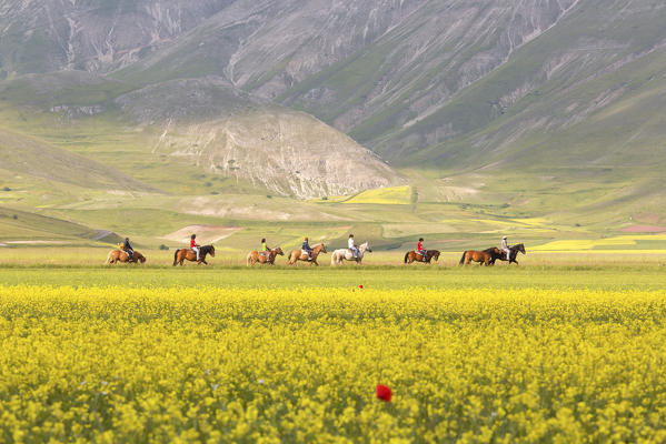 Europe Italy,Umbria,Castelluccio di Norcia . 
Horse ride 