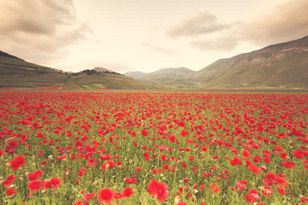 Europe, Italy, Umbria, Perugia district,Castelluccio of Norcia 