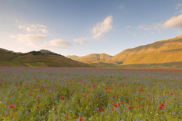 Europe, Italy, Umbria, Perugia district,Castelluccio of Norcia 