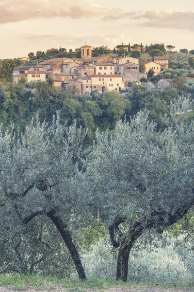 Europe,Italy,Umbria,Perugia district.
Limigiano at sunset 