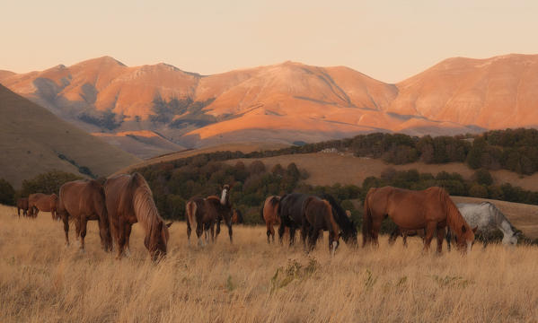 Europe, Italy,Umbria, Perugia district.
Sibillini national park 