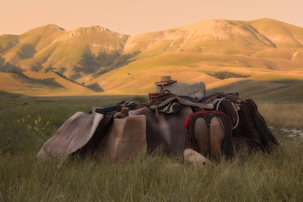 Europe,Italy,Umbria,Perugia district, Castelluccio di Norcia 
Sibillini Ranch 