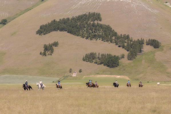 Europe,Italy,Umbria,Perugia district, Castelluccio di Norcia 
Sibillini Ranch 