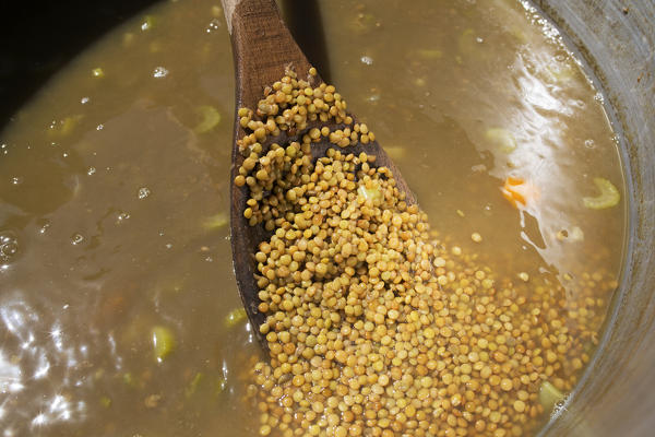 Europe,Italy,Umbria,Perugia district,Sibillini National park,Castelluccio of Norcia.
Lentil 