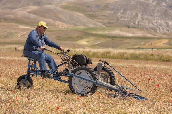 Europe,Italy,Umbria,Perugia district,Sibillini National park,Castelluccio of Norcia.
Farmer at work