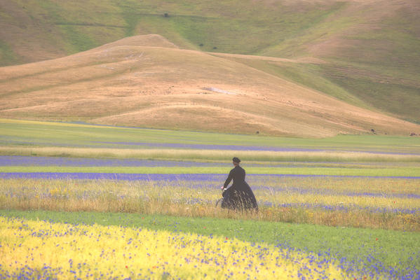 Europe,Italy,Umbria,Perugia district,Sibillini National park.
Flowering of the lentil fields of Castelluccio of Norcia