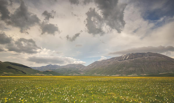 Europe,Italy,Umbria,Perugia district,Sibillini National park.
Spring flowering